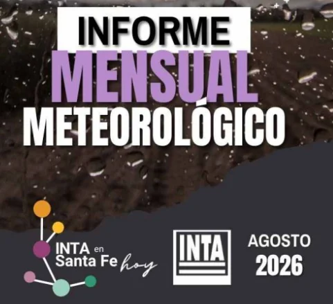 Sin título