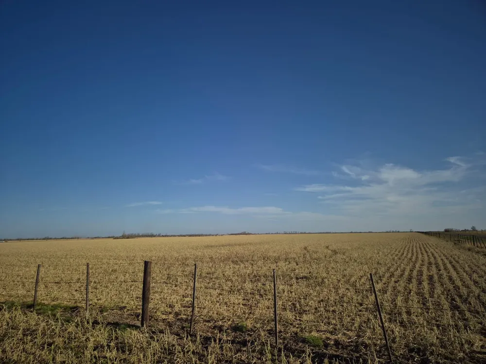12631-foto_campo